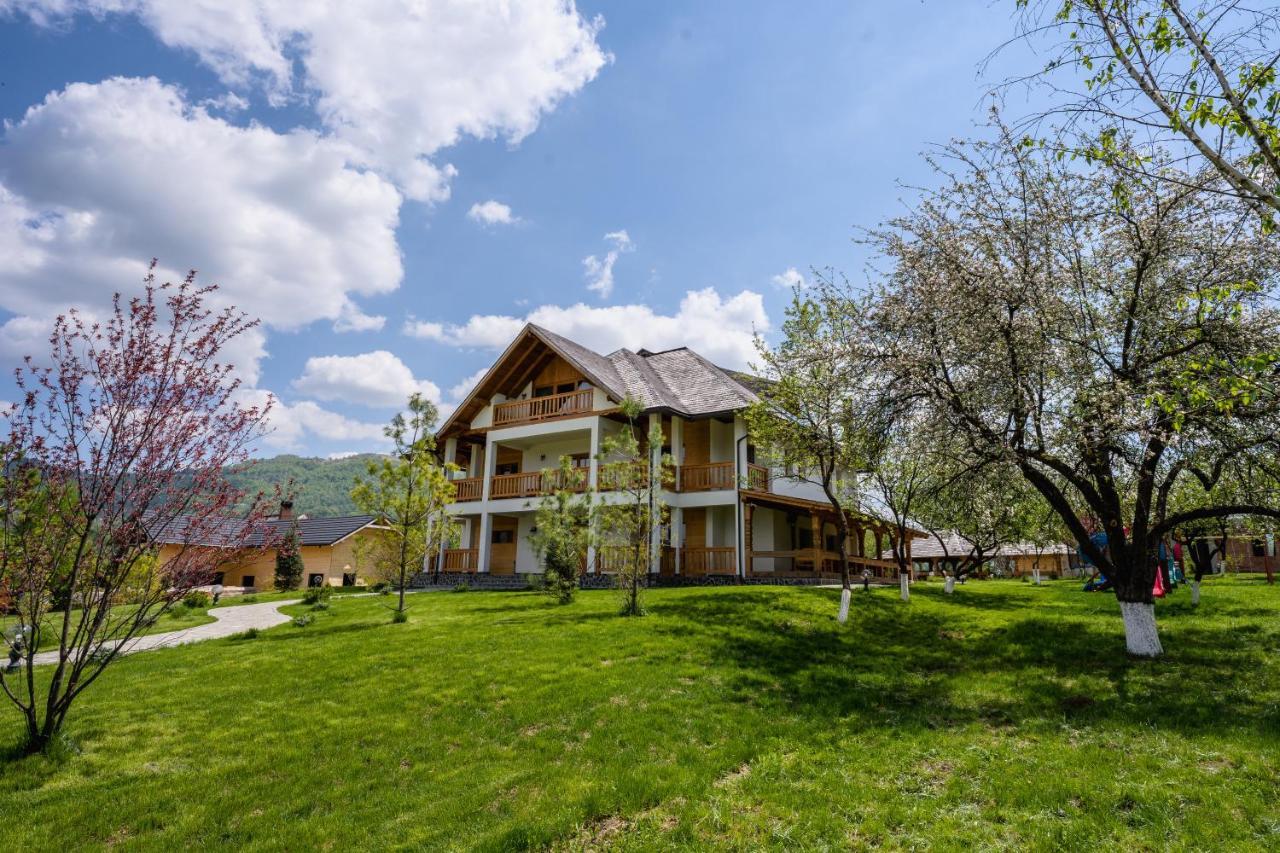 Pensiunea Coronita Vişeu de Sus Exterior foto