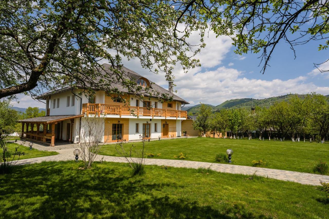 Pensiunea Coronita Vişeu de Sus Exterior foto